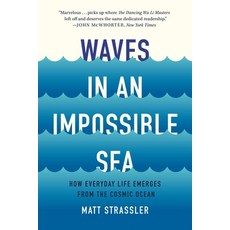 (영문도서)Waves in an Impossible Sea: How Everyday Life Emerges from the Cosmic Ocean Paperback, Basic Books, English, 9781541603370