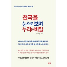 천국을 눈으로 보며 누리는 비밀:천국의 신비와 궁금증이 풀리는 책, 성령