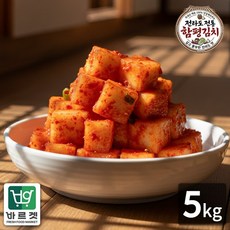 전라도전통함평김치 깍두기5kg 국내산재료 당일제조 바르겟, 5kg, 1개