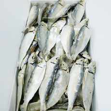 가락시장521 햇 디포리 상급 밴댕이 국물용 육수용 다시멸치 (13-15cm), 1개, 500g