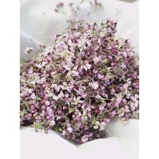 (제주산 수제) 제주의 향을 담은 벚꽃차 5g(제주 제주꽃차 벚꽃 제주벚꽃 벚꽃잎 벚꽃잎차), 티백형(7개입 0.5g/1ea), 1.2g, 1개, 7개입