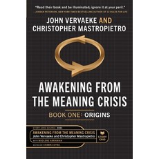 (영문도서) Awakening From the Meaning Crisis: Part One: Origins Paperback, Story Grid Publishing LLC, English, 9781645011002