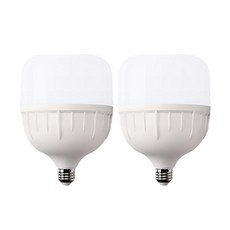 라인조명 LED T-벌브 크림벌브 50W E26, 주광색, 2개