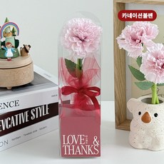 카네이션 볼펜 캐리어 스승의날 어버이날선물, 핑크, 1개
