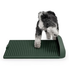 독톡 배변판, 올리브그린, 1개 올리브그린, 1개