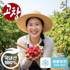 더맛곳간 국산 냉동 산딸기 국내산 급냉 라즈베리, 1개, 1kg