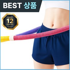 2025년 3세대 네이쳐 최신형 일체형 스프링 훌라후프, 혼합, 1개, 0.9kg
