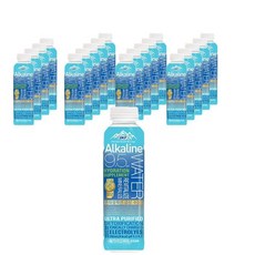 OKF 미네랄 갈증해소 탕비실 식후 음료 알카라인워터 500ml 20개, 1개