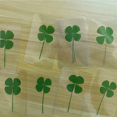 네잎클로버 투명 코팅카드 생화 행운 부적 감사 합격기원, 상세페이지 참조, 상세페이지 참조