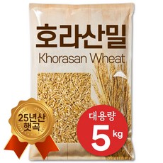 The큰나무 25년산 햇 호라산밀 고대곡물 카무트 쌀, 5kg, 1개