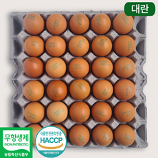 [제이피농장] 난각번호 3번 무항생제 계란 신선한 대란 HACCP, 1개, 30구