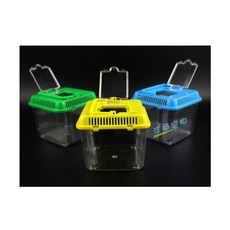 가정 구피 치어 물고기 수집 보관 어항