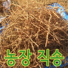 주홍빛소박한구기자이야기 / 농장에서 직접 캔 구기자뿌리 지골피 300g 농장 직송 / 깨끗하게 씻어 말림 / 자르지 않은 통뿌리, 1개