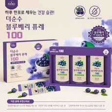 블루베리 퓨레스틱 15g 21포 x 1세트, 21개