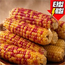 [재구매1위] 쫀득달콤 홍찰 삶은 찰옥수수, 1세트, 대 10개