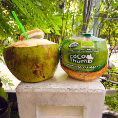 항공직송 태국 코코넛 특품, 1박스, 1kg 내외 (1개)