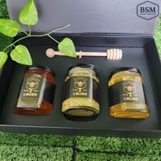 BSM 프리미엄 국산 천연 벌집꿀 벌꿀 3종 선물세트, 1세트, 250g