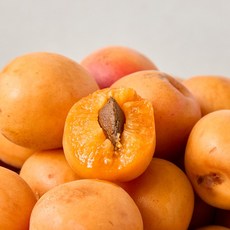국내산 경북 노지 살구, 1개, 중대과 3kg (60개 내외)