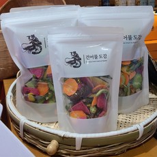 [건어물도감] 동결건조 스낵 5종 - 야채 딸기 망고 과일믹스 표고버섯 건강 간식 선물세트, 야채M