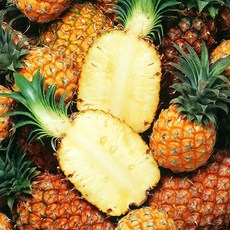 행덕마트 DOLE 스위티오 크라운레스 파인애플, 1개, 약800g