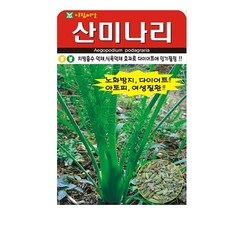 아람종묘 산미나리 씨앗, 2개