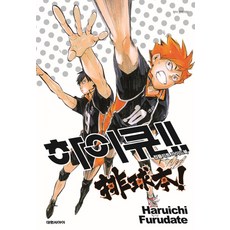 DAEWON CULTURE INDUSTRY 排球少年!! 完全導讀手冊 排球本