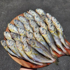 연평도 생물 참조기 1kg (13-16미) 국산 참조기, 1개, 1kg 13-16미