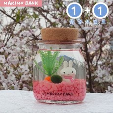 원플러스 [1+1]핑크 마린토끼 DIY세트-마리모소(5mm)포함, 1세트