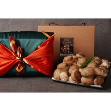 솔송화버섯 선물세트 800g 번덕뜰 설 선물 명절 선물 솔송버섯 송고버섯송향버섯, 기본형 800g, 1개