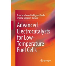 Advanced Electrocatalysts for Low-Temperature Fuel Cells Paperback, Springer