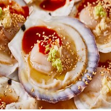 고성홍가리비 당일조업 산지직송 생물, 1개, 5kg