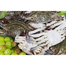 잡아서 곧바로 얼린 국내산 100% 연평도 급냉 숫꽃게 [2025년] 가성비, 1박스, 바로 급냉한 숫꽃게 3kg (15-18미/수분포함 중량