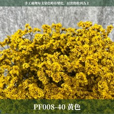 CANLONGER FLOWER 水晶花 乾燥花束, 40黃,原裝(超取會修剪適合裝箱尺寸), 1個