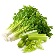 [산정] 싱싱한 국내산 샐러리, 국내산 샐러리 2kg, 1박스