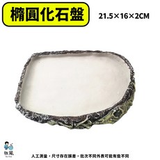 放風 橢圓化石盤 爬蟲餵食盆 烏龜守宮飼養用品, 1個, #B14【橢圓化石盤】