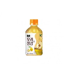 미닛메이드모과생강 해태 280mlx24개, 280ml, 24개