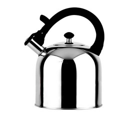 ZEBRA斑馬牌 IMAGE 形象笛音壺 4.9L 304不銹鋼 茶壺 響壺, 1個, 銀色