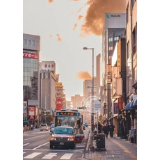 오로라 오로라 오로라 풍경 포스터 및 프린트 캔버스 페인팅 벽 예술 산 사진 거실 홈 데코, 25)20X30cm Unframed  7, 25 wg279-2