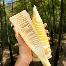 거제 햇 삶은 맹종 죽순 국산 자연산 무농약, 1박스, 2kg