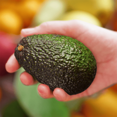 수입사직송 최상급 왕특대 생아보카도 직수입 후숙 쉬운 대과 신선 아보카도 과일, 1개, 뉴질랜드 아보카도 특대과 10과