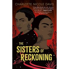 (영문도서) The Sisters of Reckoning Paperback, Tor Teen, English, 9781250299758
