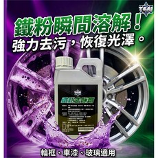 TSAI 鐵粉去除劑，適用於輪框車漆玻璃, 1個