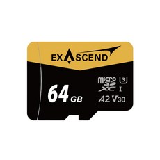 Exascend CATALYST microSDXC A2 V30 高速記憶卡, 1個, 64GB, 64GB