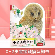 마그네틱 공중부양 회전 영문 램프 LED 지구본, H. 터치북 꼬마 올빼미 오치