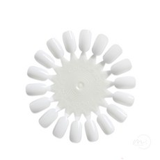 몽이상점 네일 컬러차트 투명컬러차트, 투명