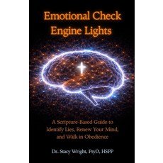 (英文圖書)Emotional Check Engine Lights: A Scripture-Based Guide to Identify Lies Renew Y... 平裝版, Faithful Counsel, 英文