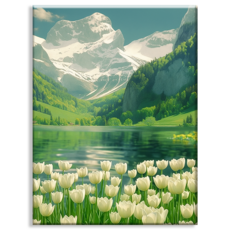 Diyee 보석십자수 캔버스형 취미 DIY세트 30x40cm, B2100 화이트 튤립, 1세트