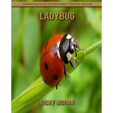 Ladybug: Amazing Facts and Pictures about Ladybug for Kids Paperback, Independently Published