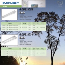 EVERLIGHT 億光 LED T8 山型燈, 詳見包裝, 詳見包裝