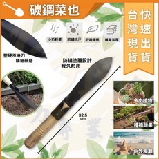 大力專業五金 碳鋼菜也 園藝挖土工具, 1個, 尖